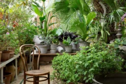 Bergs Potter Copenhagen Pot Grey, 14 Cm -Brafab Verkaufs-Shop bergs potter copenhagen pot grey 11