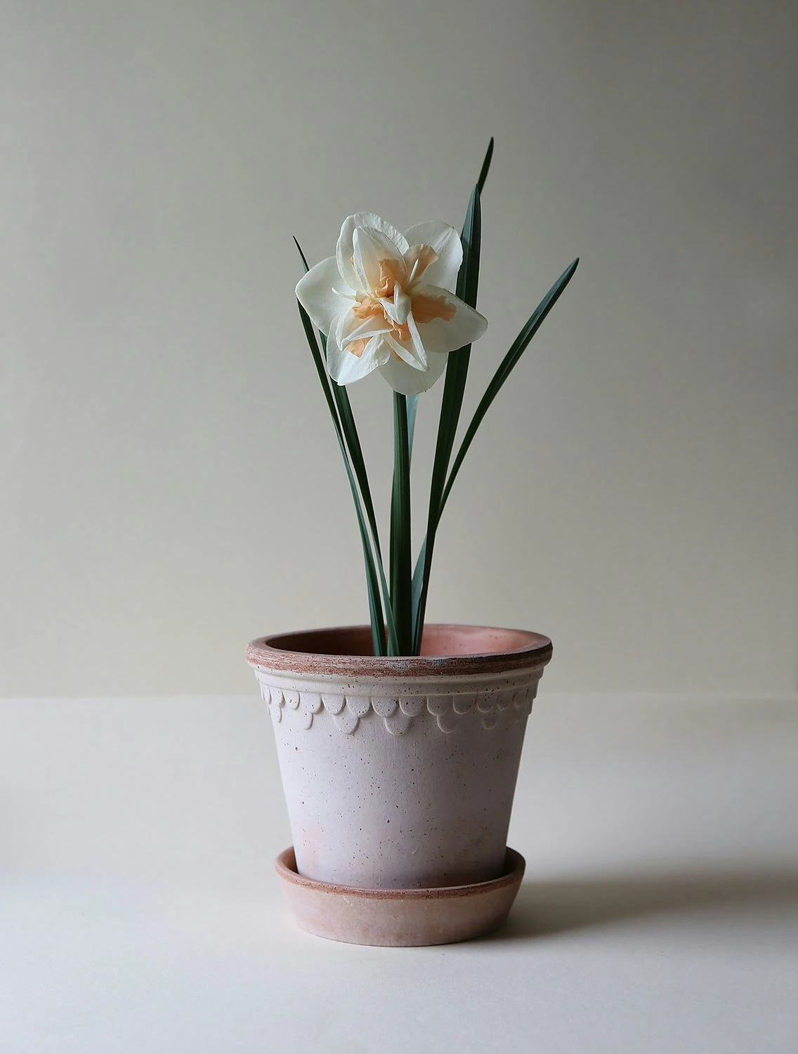 Bergs Potter Copenhagen Pot Pink, 14 Cm 3 Bergs Potter Copenhagen Pot Pink, 14 Cm – Bild 3