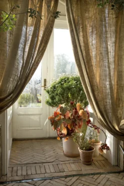 Bergs Potter Emilia Topf Rosa Ø16 Cm 9 Bergs Potter Emilia Topf Rosa Ø16 Cm -Brafab Verkaufs-Shop bergs potter emilia topf rosa 2 2