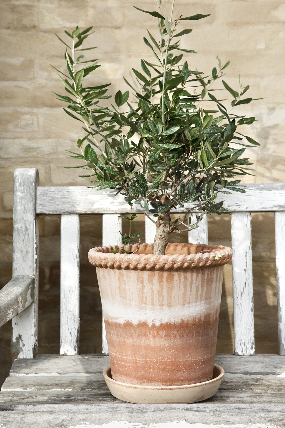 Bergs Potter Emilia Topf Rosa Ø16 Cm 5 Bergs Potter Emilia Topf Rosa Ø16 Cm – Bild 5