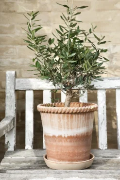 Bergs Potter Emilia Pot Rose Topf Rosa, 18 Cm -Brafab Verkaufs-Shop bergs potter emilia topf rosa 3 4