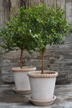 Bergs Potter Emilia Pot Rose Topf Rosa, 18 Cm -Brafab Verkaufs-Shop bergs potter emilia topf rosa 4 4