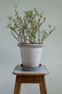 Bergs Potter Emilia Topf Grau, 25 Cm -Brafab Verkaufs-Shop bergs potter topf emilia grau 1 3