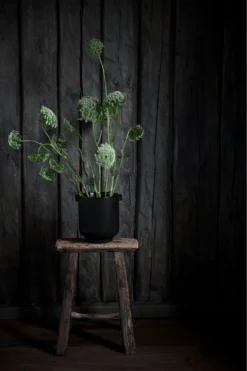 Ernst Blumentopf Mit Ohren H14 Cm, Schwarz 6 Ernst Blumentopf Mit Ohren H14 Cm, Schwarz -Brafab Verkaufs-Shop ernst blumentopf mit ohren schwarz 1