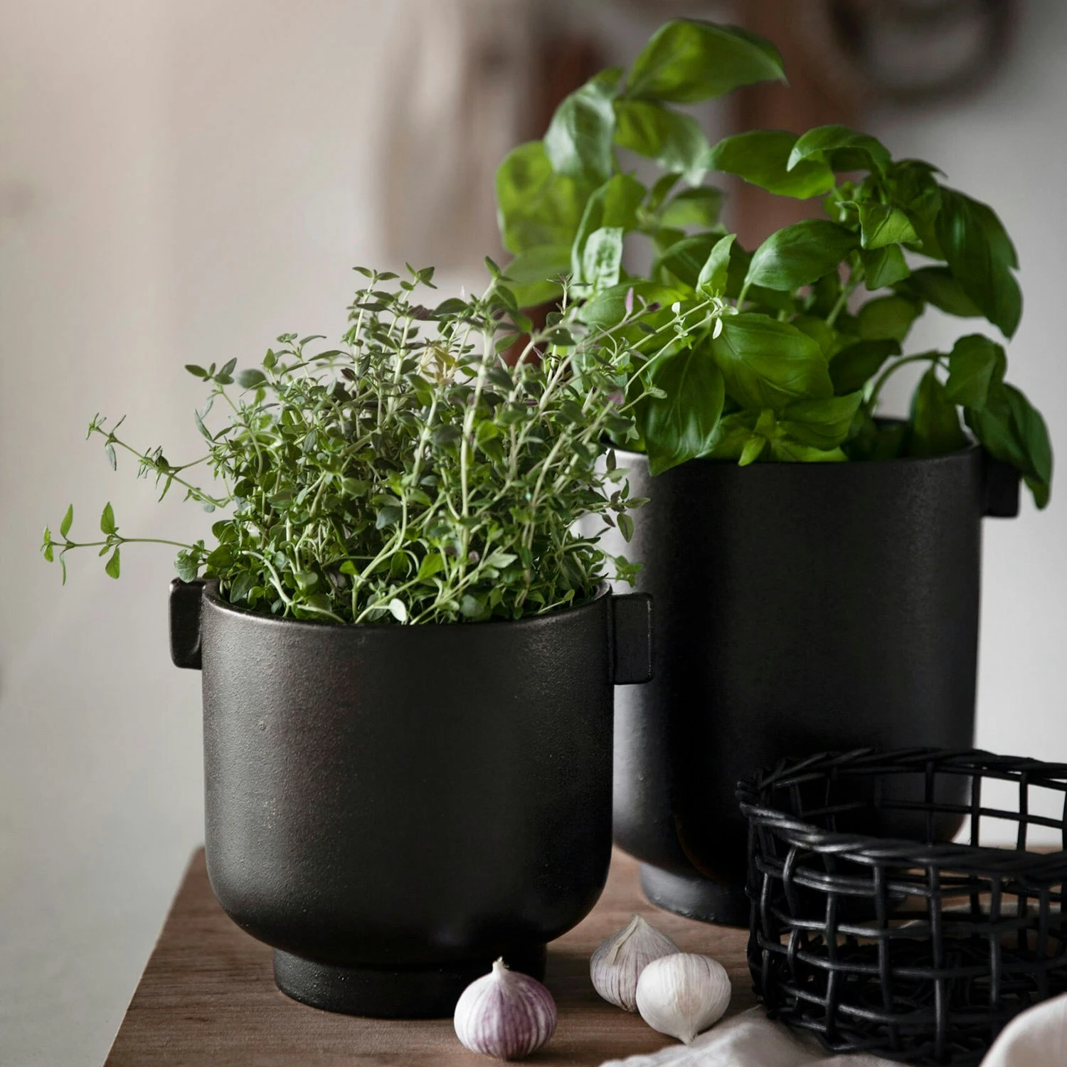 Ernst Blumentopf Mit Ohren H14 Cm, Schwarz 2 Ernst Blumentopf Mit Ohren H14 Cm, Schwarz – Bild 2