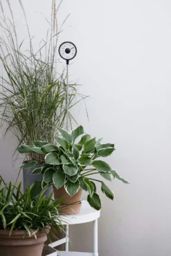 Eva Solo Thermometer Stehend 5 Eva Solo Thermometer Stehend -Brafab Verkaufs-Shop eva solo thermometer stehend 0