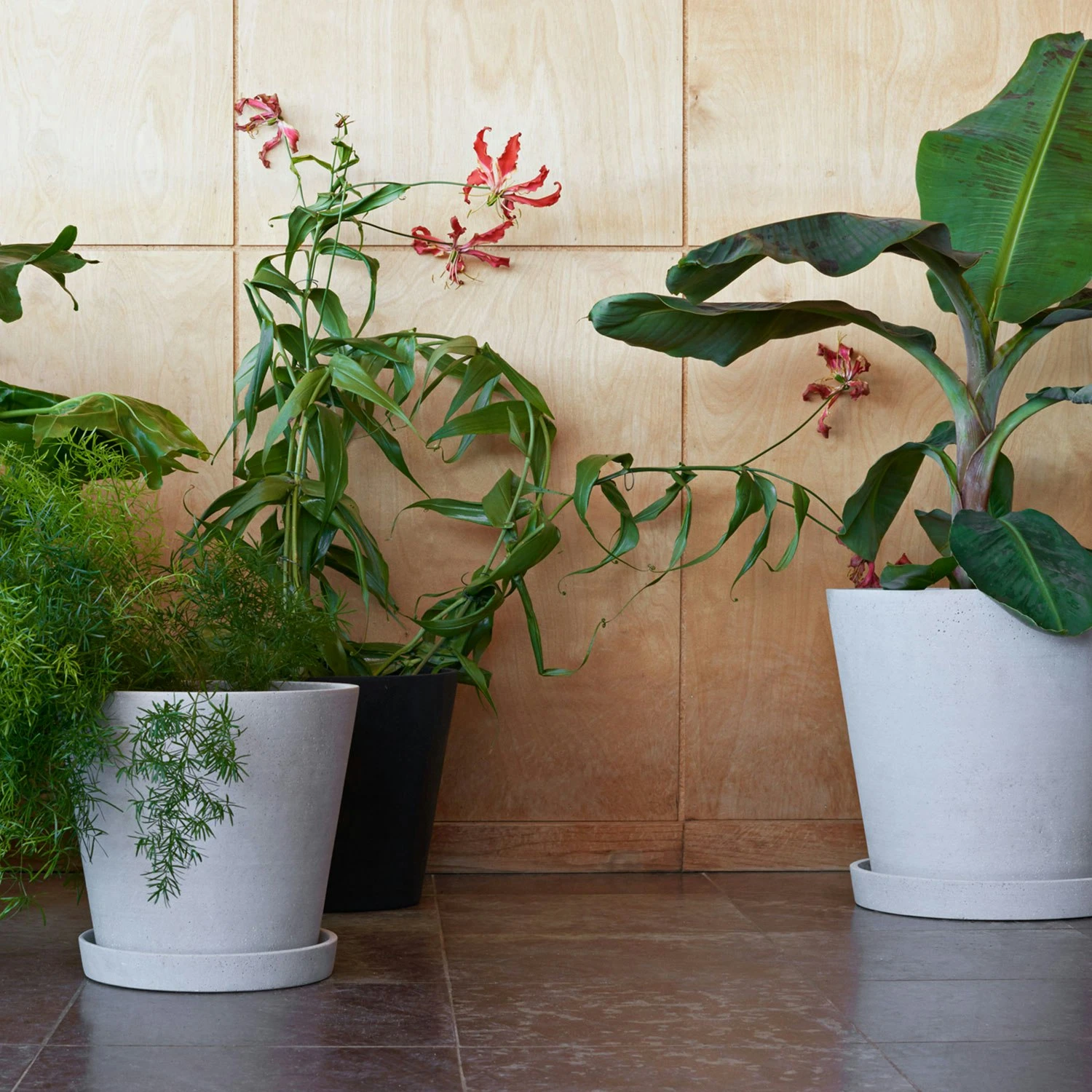 Hay Flowerpot Topf Mit Unterteller Grau, Ø11 Cm S 2 Hay Flowerpot Topf Mit Unterteller Grau, Ø11 Cm S – Bild 2