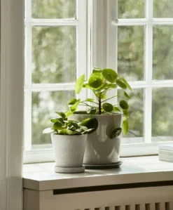 Hay Flowerpot Topf Mit Unterteller Grau, Ø11 Cm S 11 Hay Flowerpot Topf Mit Unterteller Grau, Ø11 Cm S -Brafab Verkaufs-Shop hay blumentopf mit untersetzer grau 10 1