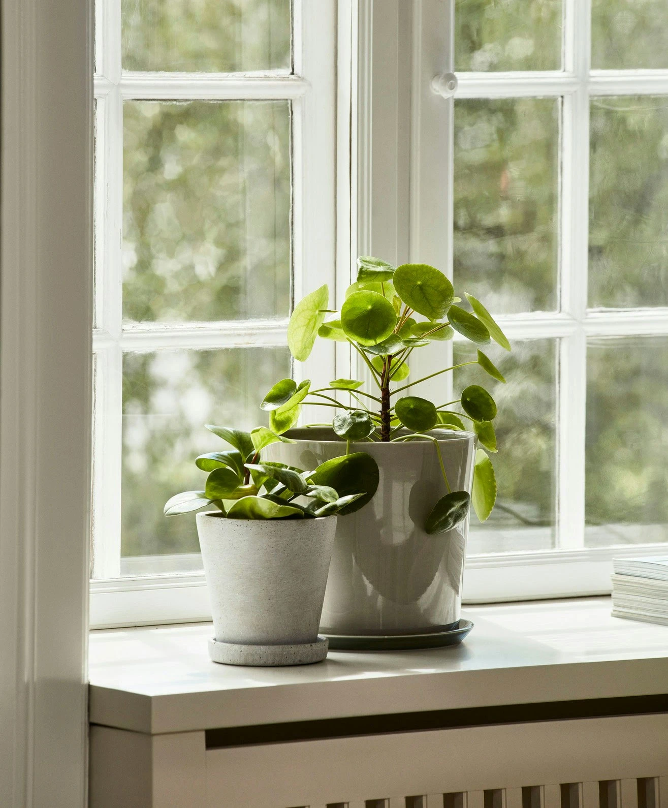 Hay Flowerpot Topf Mit Unterteller Grau, Ø26 Cm XXL 6 Hay Flowerpot Topf Mit Unterteller Grau, Ø26 Cm XXL – Bild 6