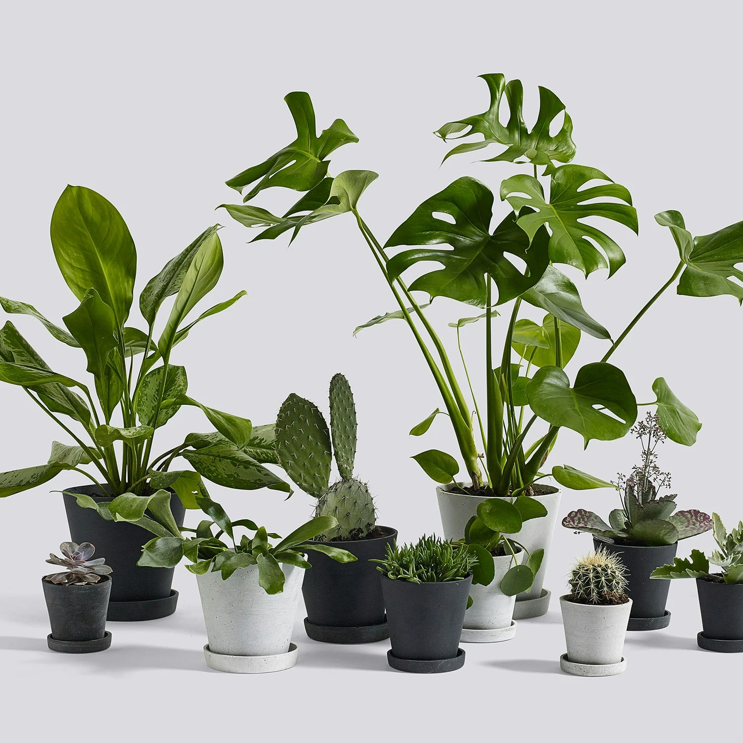 Hay Flowerpot Topf Mit Unterteller Grau, Ø11 Cm S 4 Hay Flowerpot Topf Mit Unterteller Grau, Ø11 Cm S – Bild 4