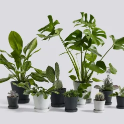 Hay Flowerpot Topf Mit Unterteller Grau, Ø21.5 Cm XL -Brafab Verkaufs-Shop hay blumentopf mit untersetzer grau 3