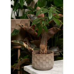 Brafab Verkaufs-Shop -Brafab Verkaufs-Shop kahler grow blumentopf hellsand 5