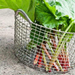 Korbo Classic 35 Korb, Säurefest Edelstahl 7 Korbo Classic 35 Korb, Säurefest Edelstahl -Brafab Verkaufs-Shop korbo klassisch 24 korb saurebestandig rostfrei 10