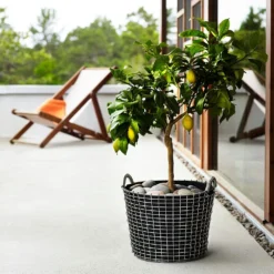 Korbo Classic 24 Korb, Säurefest Edelstahl -Brafab Verkaufs-Shop korbo klassisch 24 korb saurebestandig rostfrei 6