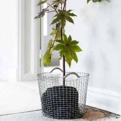 Korbo Klassisch 50 Korb, Verzinkt -Brafab Verkaufs-Shop korbo klassisch 24 korb verzinkt 13