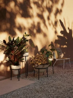 Menu Daiza Übertopf Ivory, Ø25x65 Cm -Brafab Verkaufs-Shop menu daiza planter h35 25 ivory 10