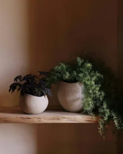 Menu Plantas Übertopf Ivory, 26 Cm -Brafab Verkaufs-Shop menu plantas planter h 17 ivory 13