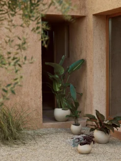 Menu Plantas Übertopf Ivory, 32 Cm 9 Menu Plantas Übertopf Ivory, 32 Cm -Brafab Verkaufs-Shop menu plantas planter h 17 ivory 18