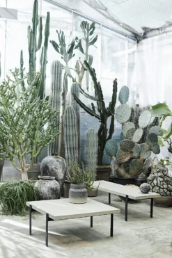 Muubs Kanji Dose, 22 Cm -Brafab Verkaufs-Shop muubs kanji dose 10