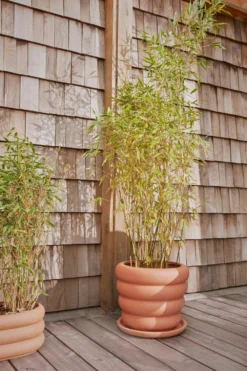 OYOY Awa Topf Terracotta, Groß -Brafab Verkaufs-Shop oyoy awa topf terracotta 11