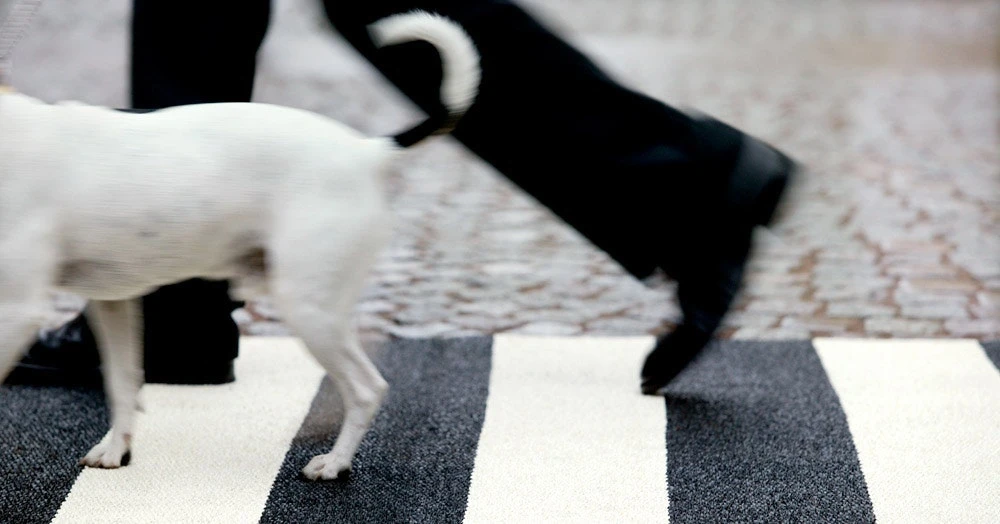 Bob Matte 70x200 Cm, Black/Vanilla 2 Bob Matte 70x200 Cm, Black/Vanilla – Bild 2