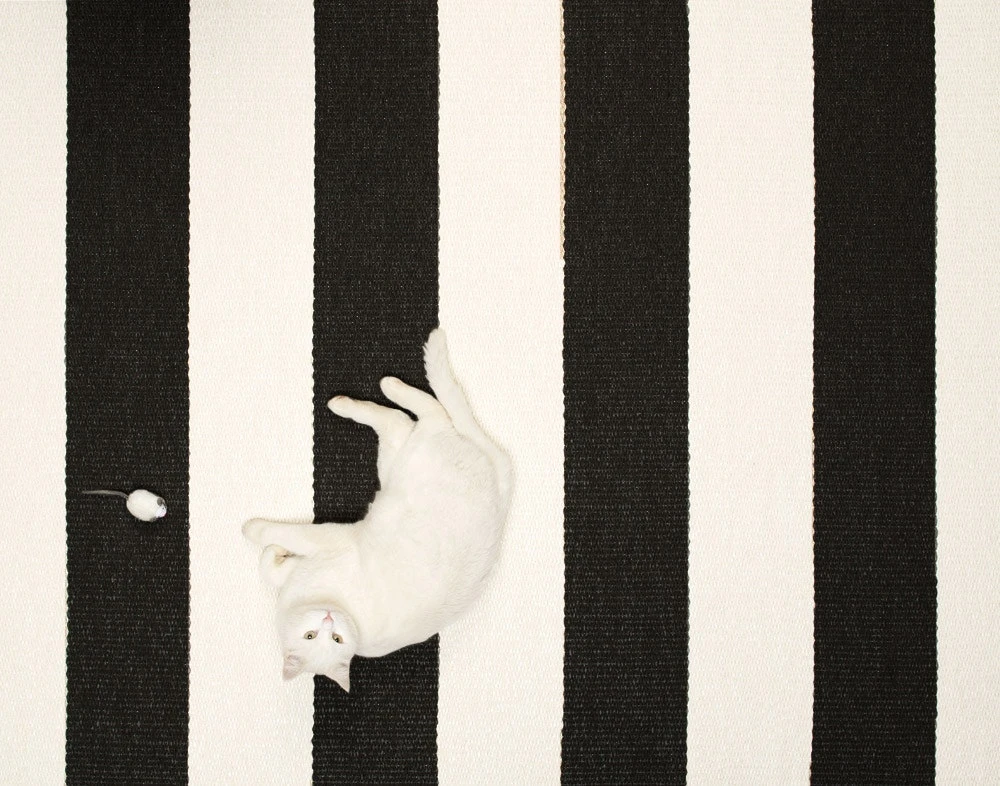 Bob Matte 70x280 Cm, Black/Vanilla 3 Bob Matte 70x280 Cm, Black/Vanilla – Bild 3