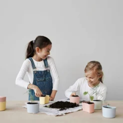 RIG TIG Your Tree Abbaubarer Topf Mit Samen, Grün -Brafab Verkaufs-Shop rig tig by stelton your tree abbaubarer topf mit samen 1