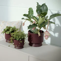 Ro Topf Bordeaux, 12 Cm -Brafab Verkaufs-Shop rosendahl copenhagen ro topf bordeaux 2 2