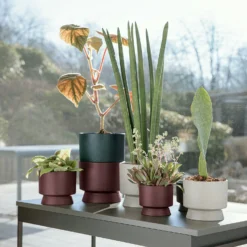 Ro Topf Bordeaux, 12 Cm -Brafab Verkaufs-Shop rosendahl copenhagen ro topf bordeaux 3 2