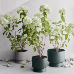 Ro Topf Dunkelgrün, Ø30 Cm -Brafab Verkaufs-Shop rosendahl copenhagen ro topf dunkelgrun 14 1