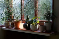 Brafab Verkaufs-Shop -Brafab Verkaufs-Shop tradition collect ubertopf sc69 dia12 x h13 cm 1