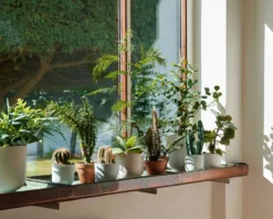 &Tradition Collect SC69 Übertopf SC69 Ø12x13 Cm, Milk 8 &Tradition Collect SC69 Übertopf SC69 Ø12x13 Cm, Milk -Brafab Verkaufs-Shop tradition collect ubertopf sc69 dia12 x h13 cm 17