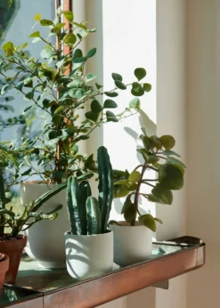 &Tradition Collect SC69 Übertopf SC69 Ø12x13 Cm, Milk 9 &Tradition Collect SC69 Übertopf SC69 Ø12x13 Cm, Milk -Brafab Verkaufs-Shop tradition collect ubertopf sc69 dia12 x h13 cm 18