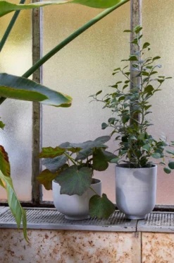 &Tradition Collect Übertopf Ø20x24 Cm, Slate -Brafab Verkaufs-Shop tradition collect ubertopf sc72 dia20 x h24 cm 3 2